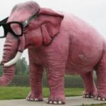 elephang_wearing_glasses-150x150-square-95d4bd39da8af3f67292a432df186a80-620104c67a27c